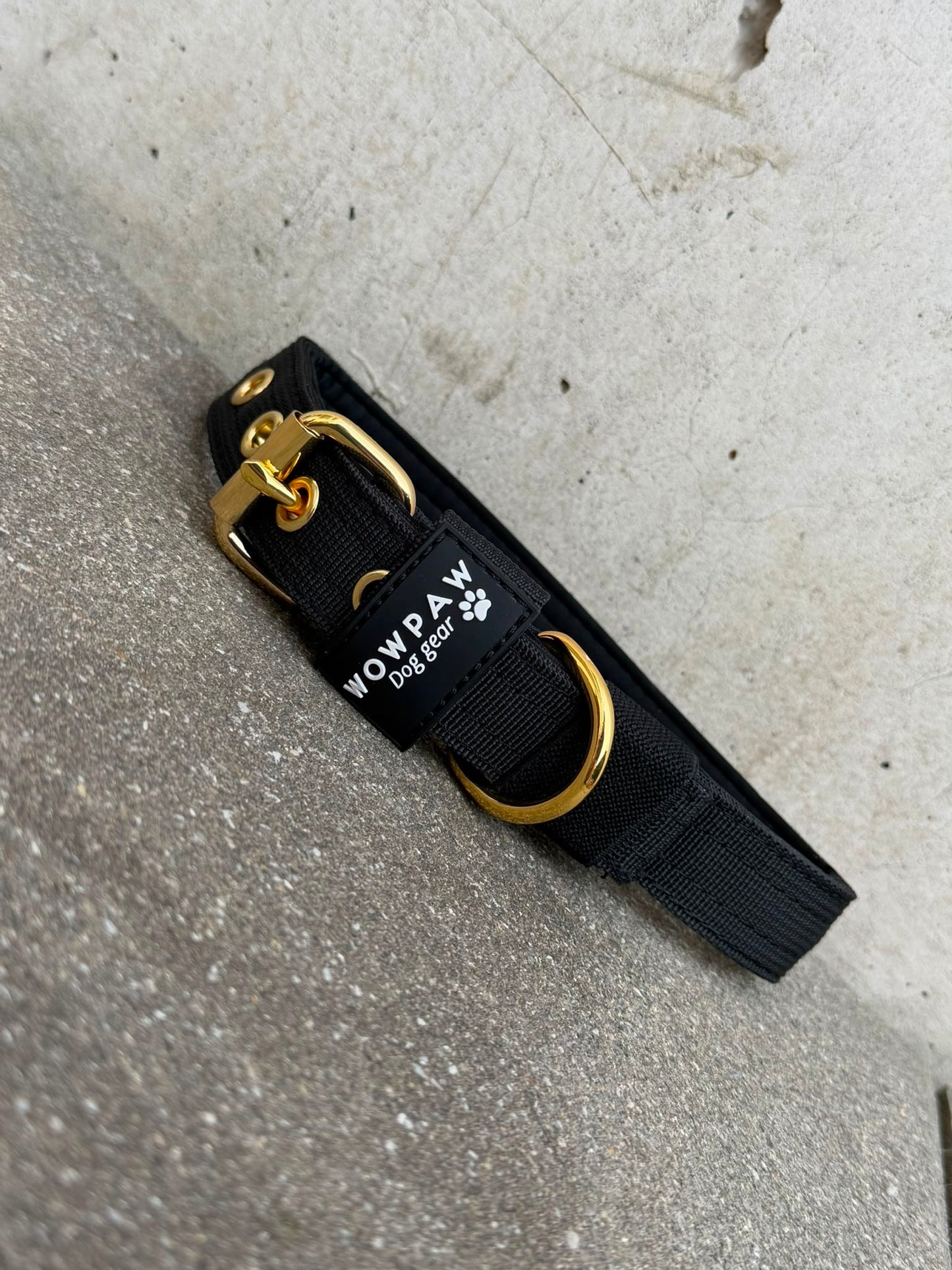 Hochwertiges Basic Hundehalsband Black Edition 2,5cm Größe L