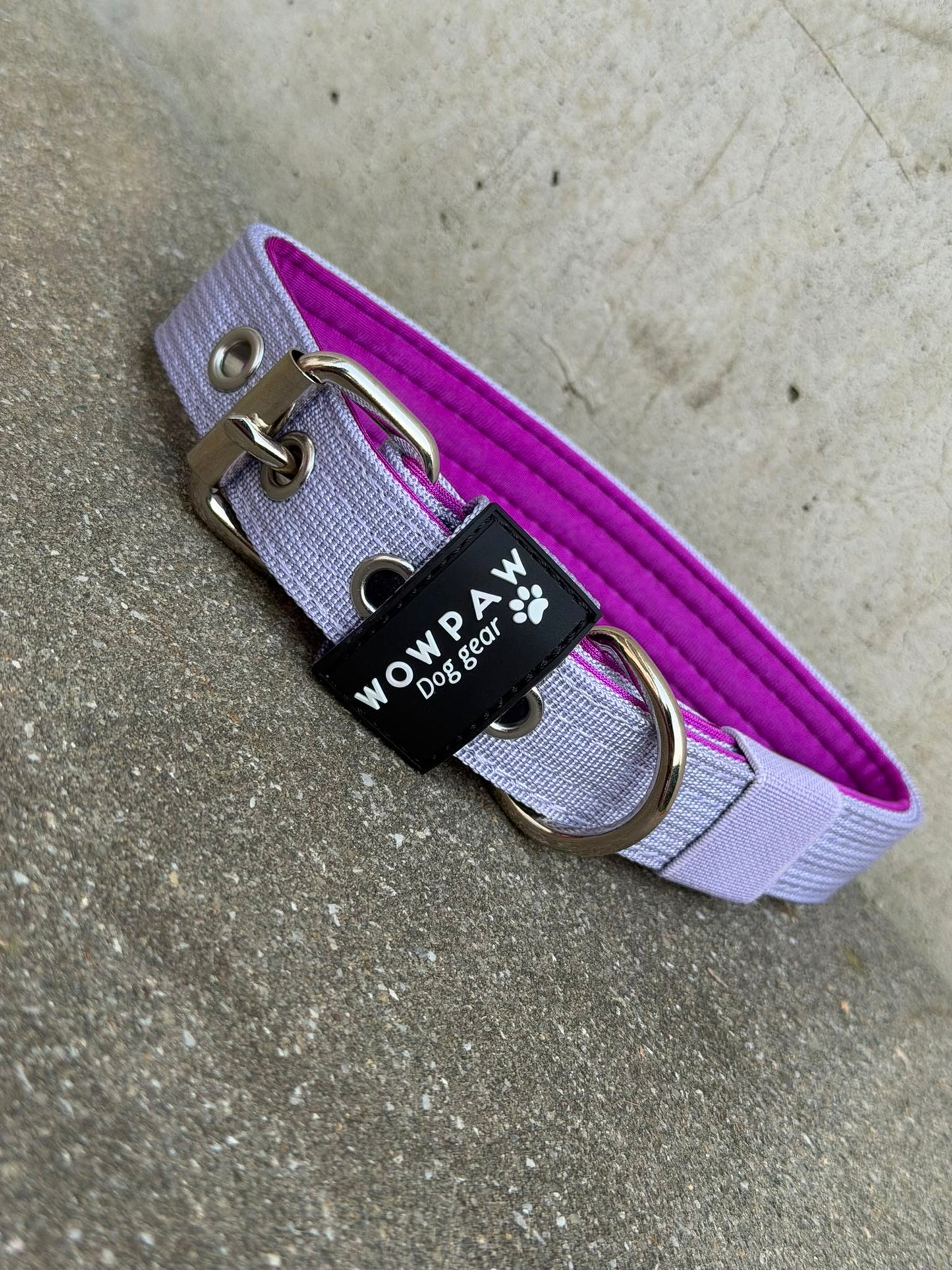Hochwertiges Basic Hundehalsband Flieder Edition 2,5cm Größe M