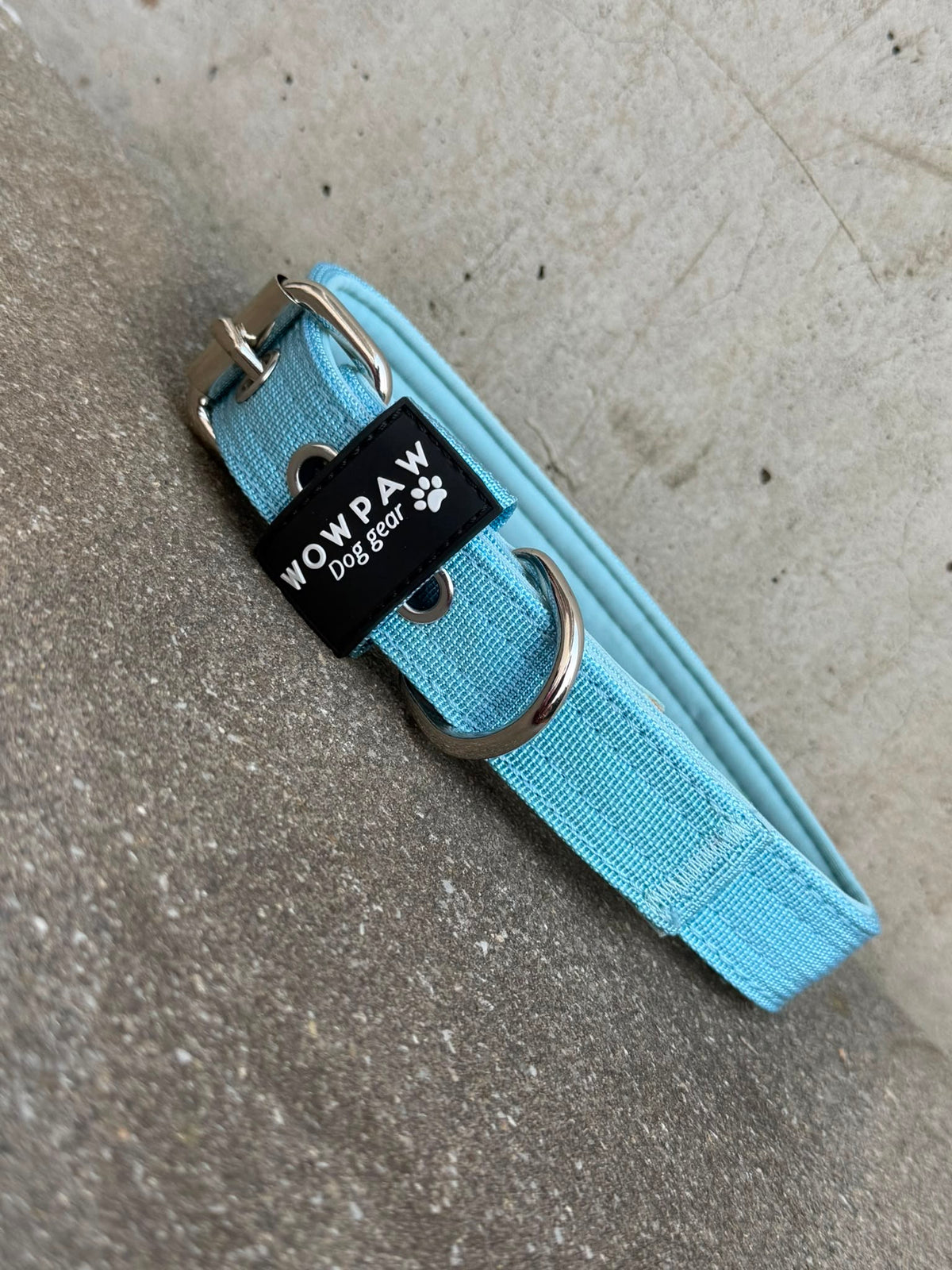 Hochwertiges Basic Hundehalsband Sky Blue-Silber Edition 2,5cm Größe M
