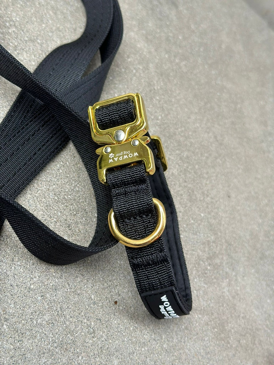 Collare per cani tattico di alta qualità 2,5 cm arancione neon taglia XS