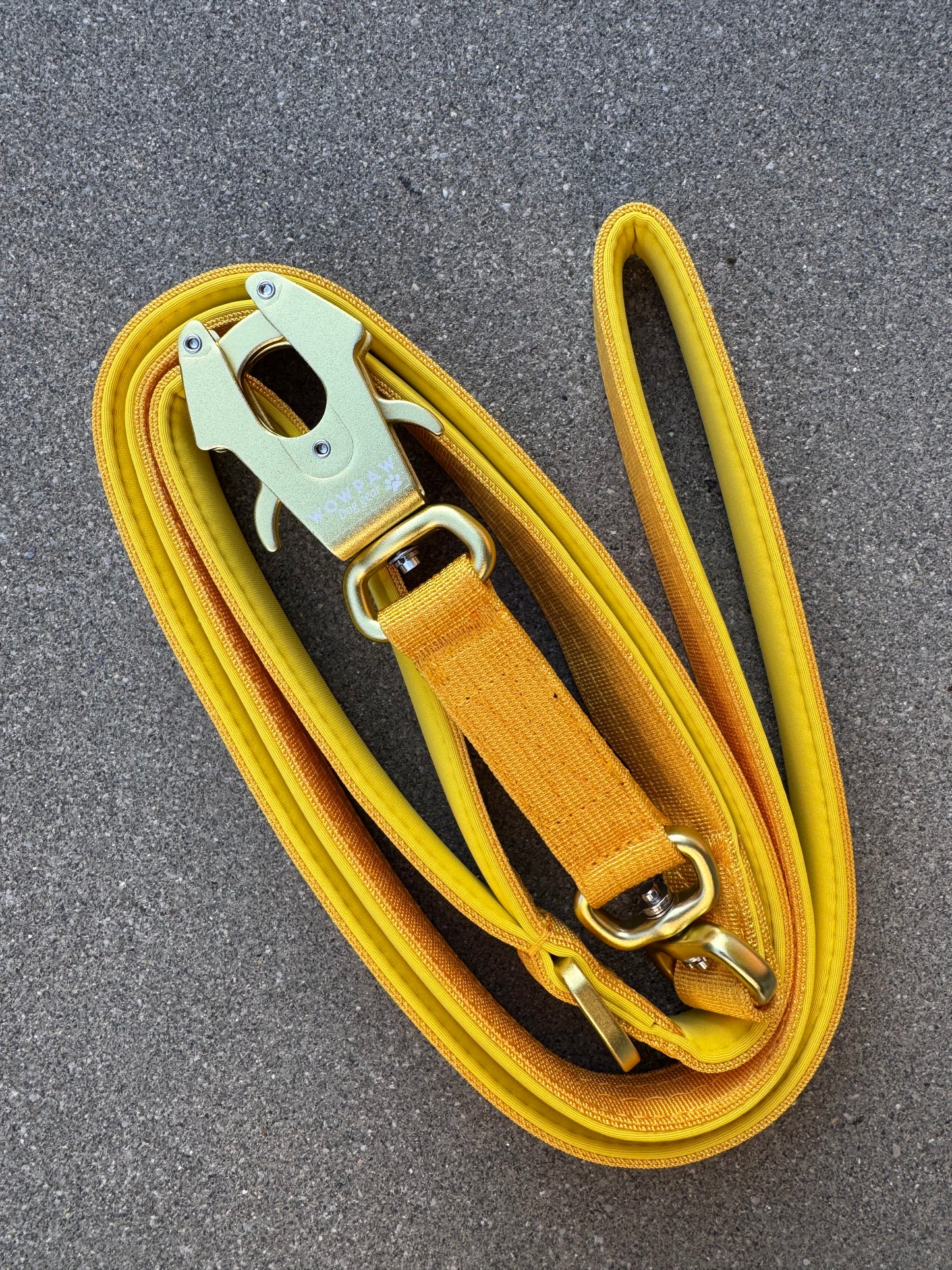Guinzaglio tattico per cani con moschettone a rana, girevole a 360°, lunghezza 1,8 menta / oro rosa