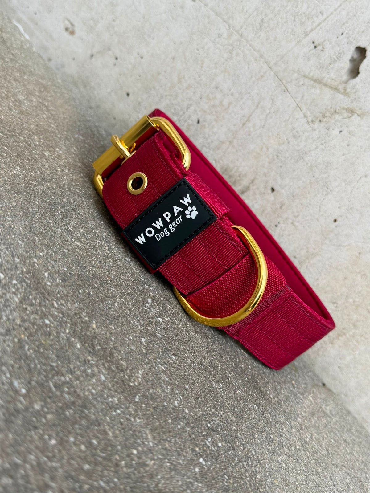 Hochwertiges Basic Hundehalsband Burgund-Gold Edition 3,8cm Größe M