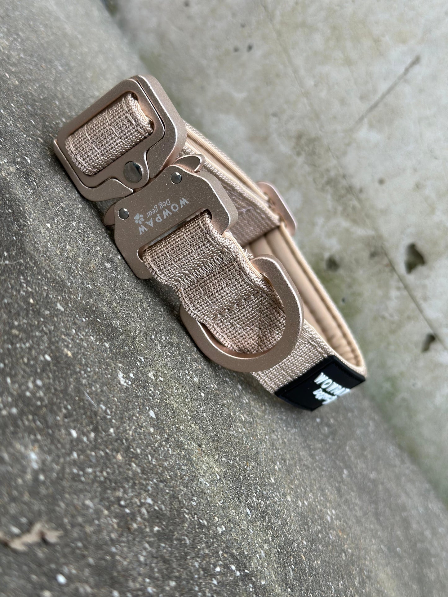 Wysokiej jakości taktyczna obroża dla psa XS 2,5 cm, beżowa, bez uchwytu