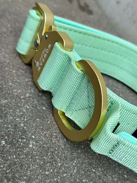 Taktisches Hundehalsband ULTRA LIGHT 3,8cm Pistaziengrün Edition M
