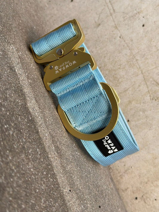 Collare tattico per cani di alta qualità blu royal taglia M