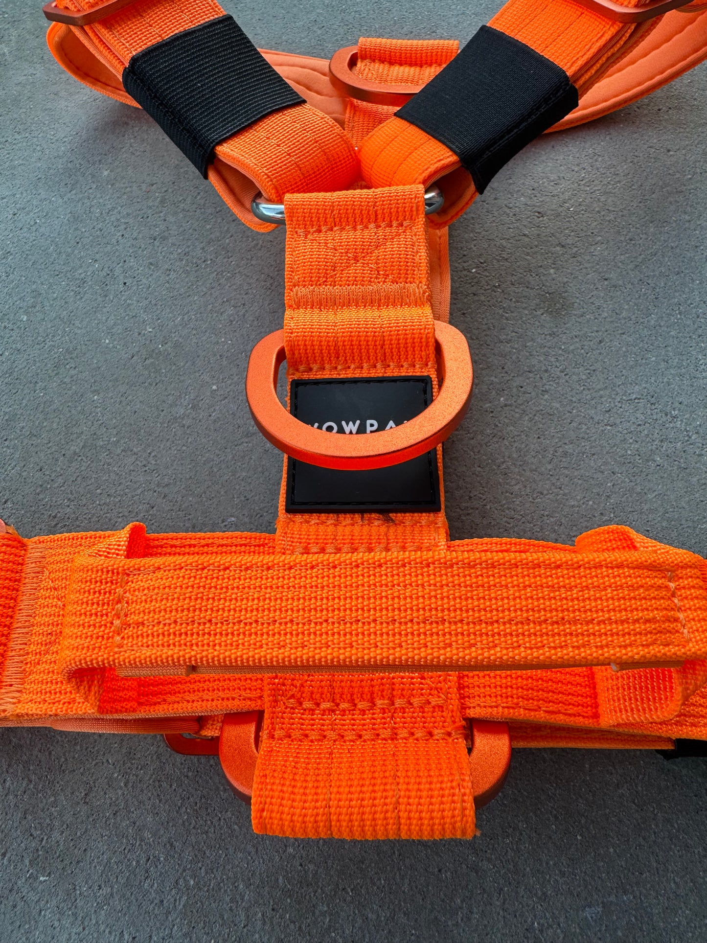 Hochwertiges Hundegeschirr L Neonorange Edition