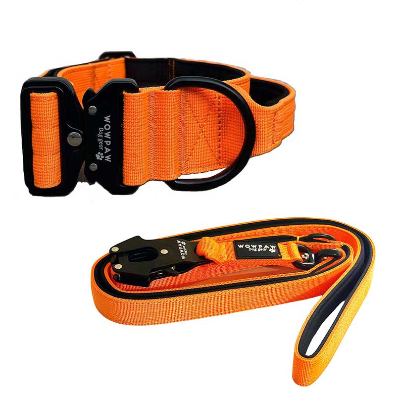 Set di collare tattico per cani arancione neon taglia M e guinzaglio tattico per cani arancione neon