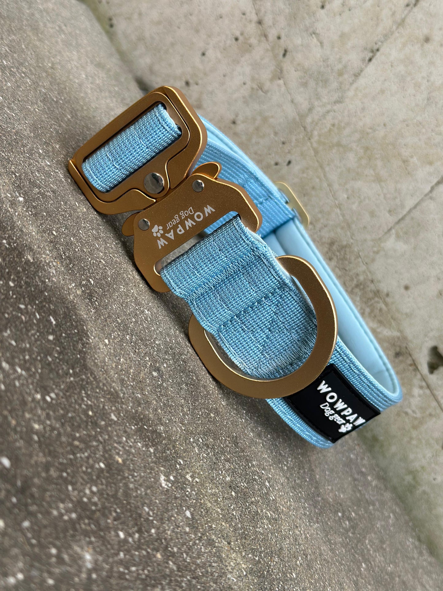 Hochwertiges taktisches Hundehalsband 3,8cm ULTRA LIGHT Sky Blue Edition Größe M ohne Griff