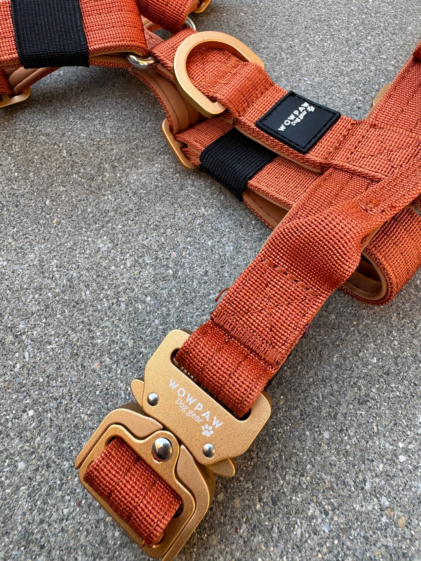 Pettorina per cani di alta qualità XS arancione neon