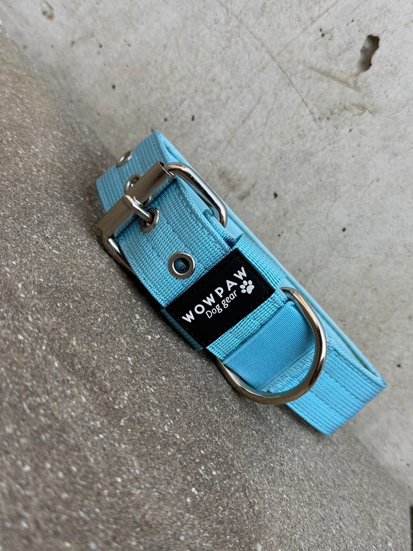Hochwertiges Basic Hundehalsband Sky Blue 3,8cm Größe M