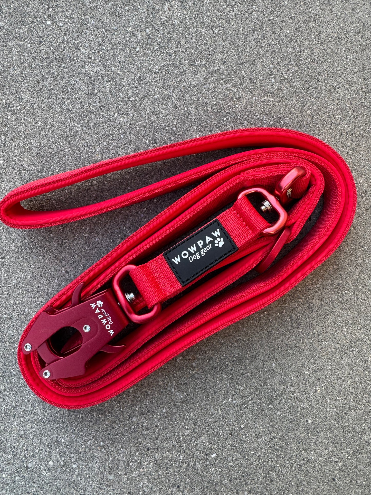 Guinzaglio tattico per cani con moschettone a rana, girevole a 360°, lunghezza 1,8 menta / oro rosa