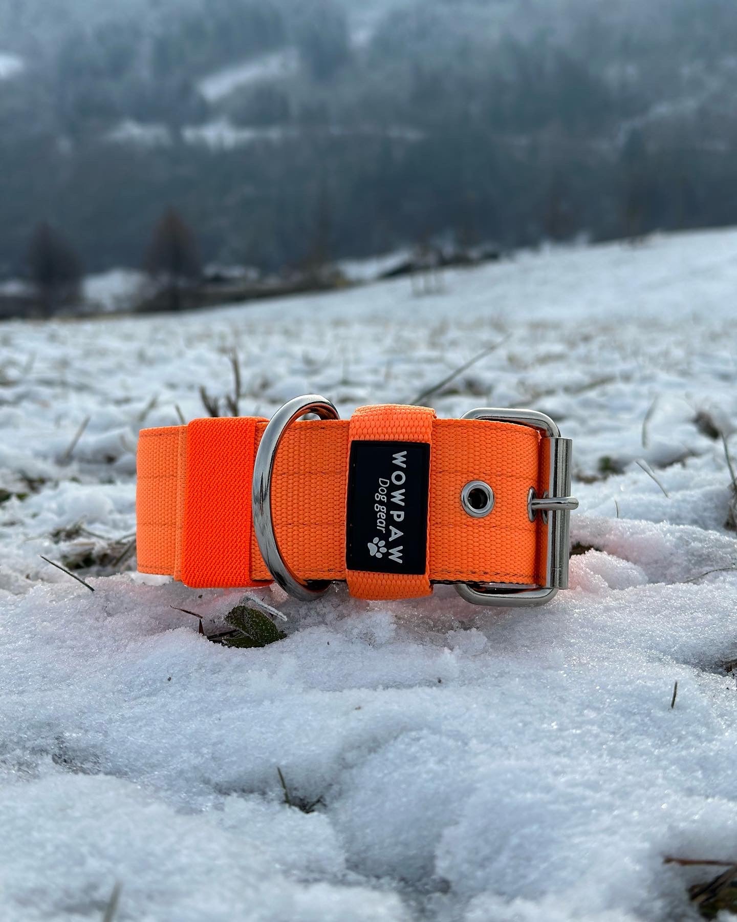 Collare per cani basic di alta qualità arancione neon taglia S