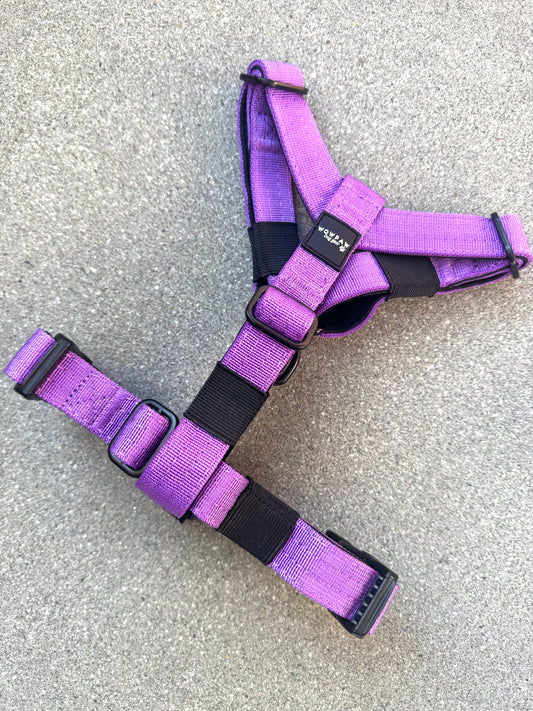 Pettorina per cani di alta qualità XS rosa fluo