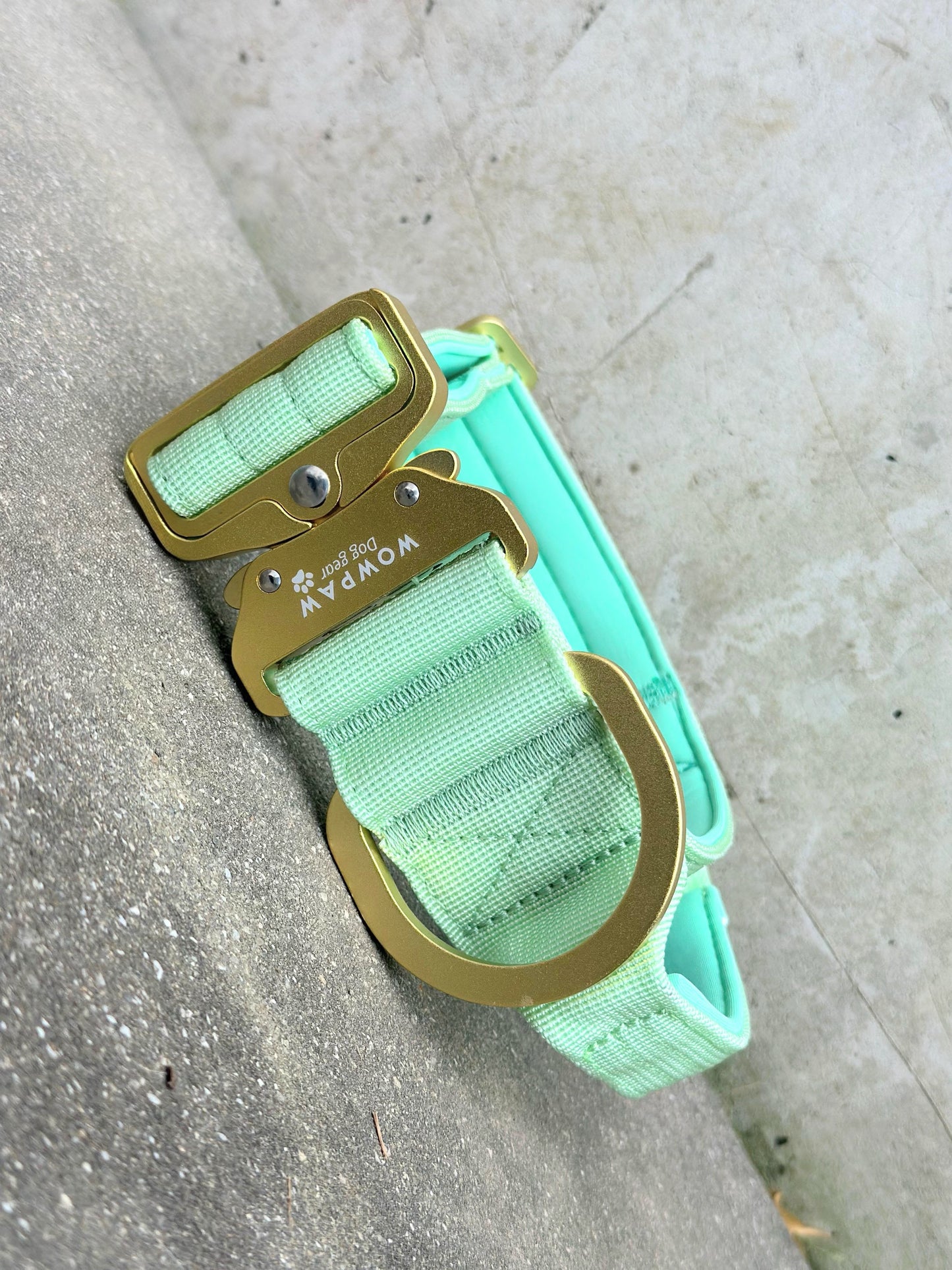 Taktisches Hundehalsband ULTRA LIGHT 5cm Pistaziengrün Edition M