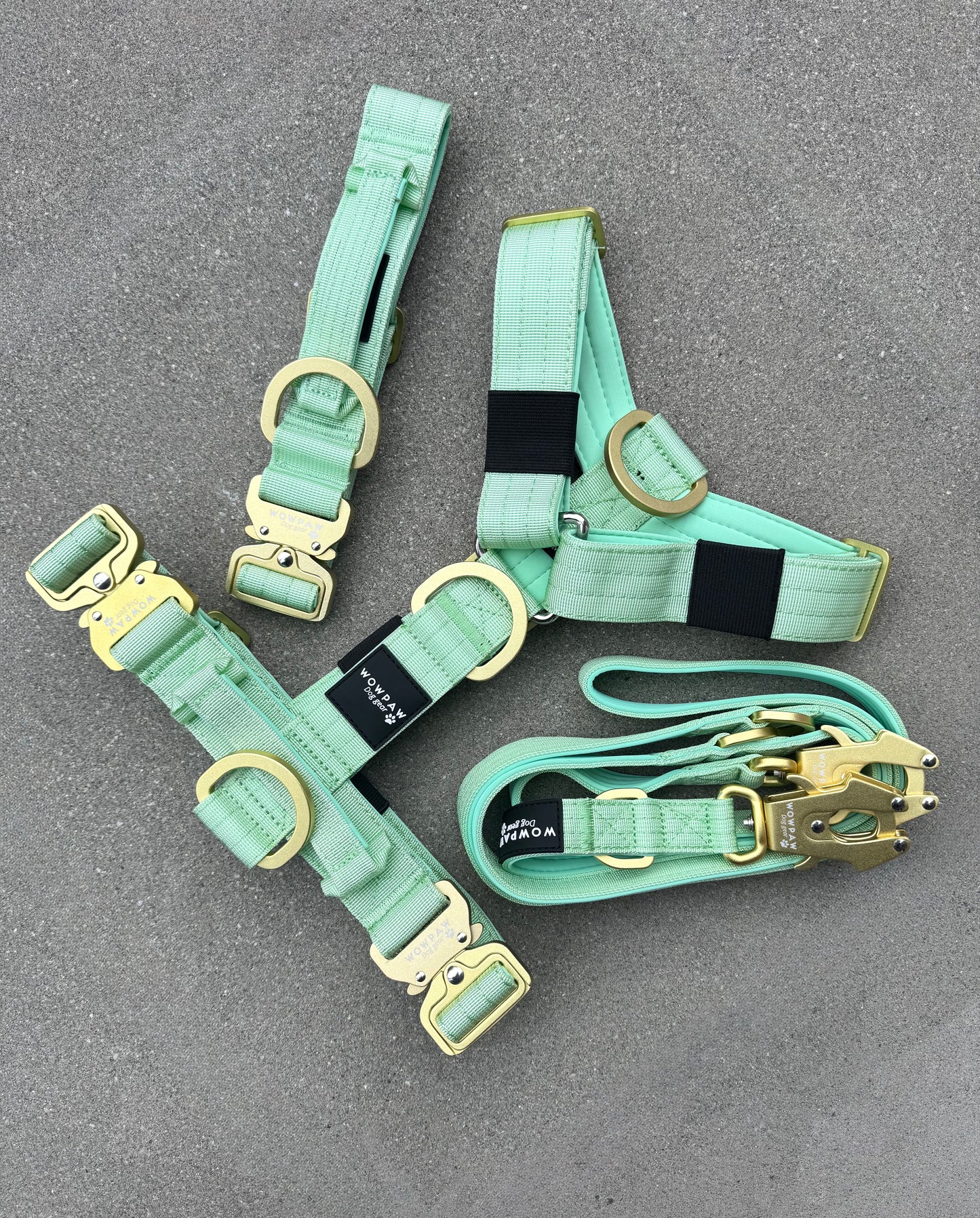 Hochwertiges Hundegeschirr M Pistaziengrün Edition