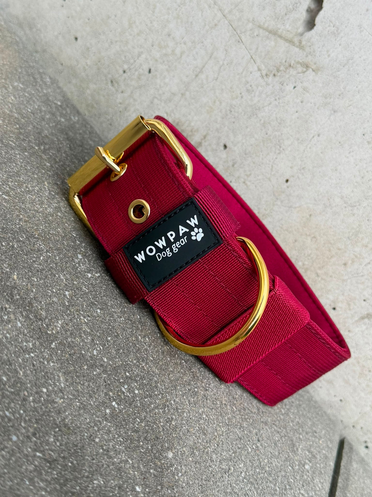 Hochwertiges Basic Hundehalsband Burgund-Gold Edition 5cm Größe L