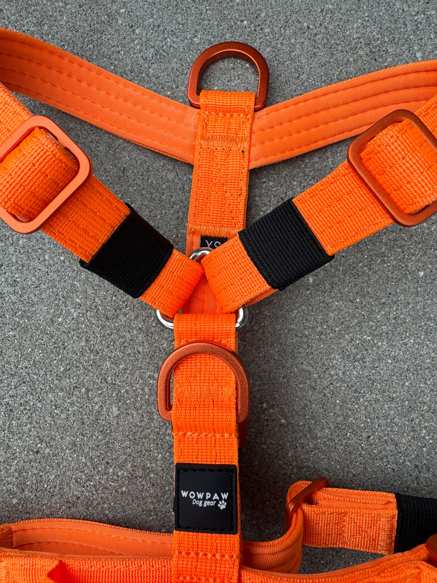 Pettorina di alta qualità per cani XS Edizione Arancione neon