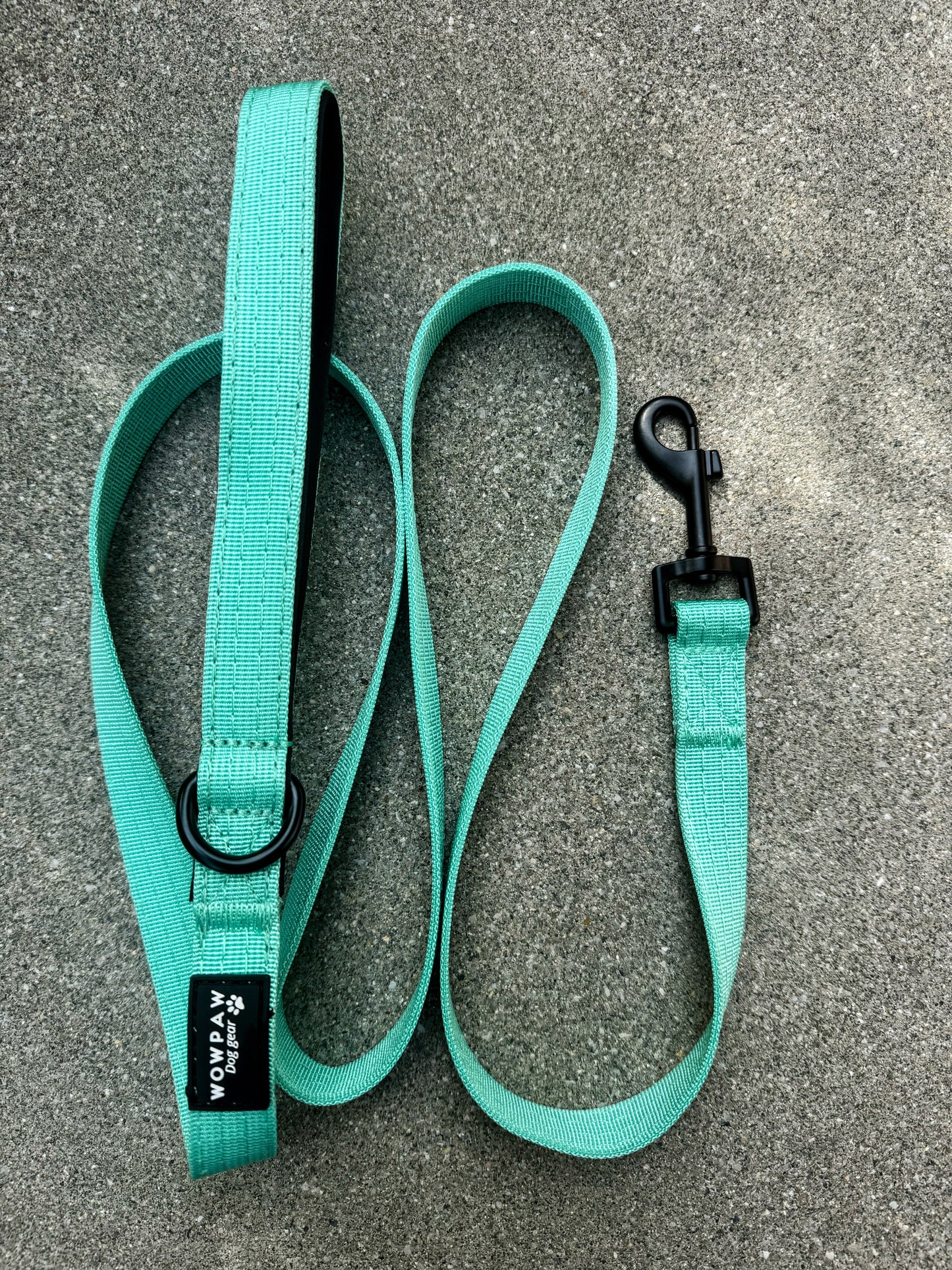 Smycz dla psa standardowa SOFTLINE XS 1,5m miętowa