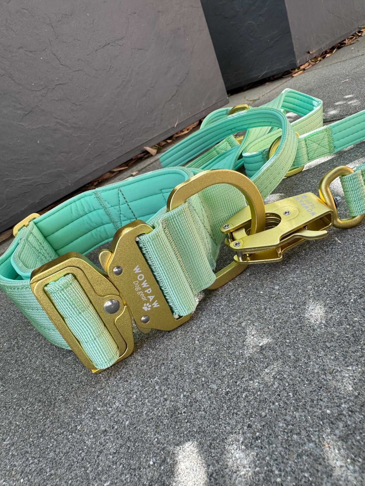 Taktische Hundeleine ULTRA LIGHT Pistaziengrün Edition, Länge 2m verstellbar