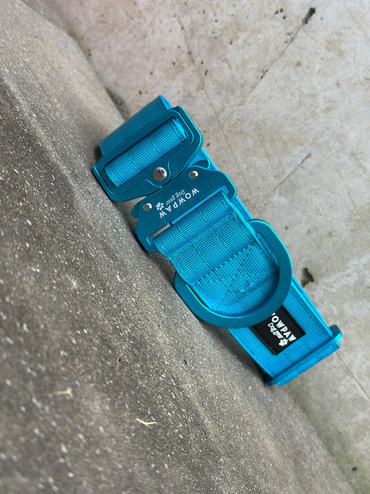 Collare tattico per cani di alta qualità blu royal taglia M