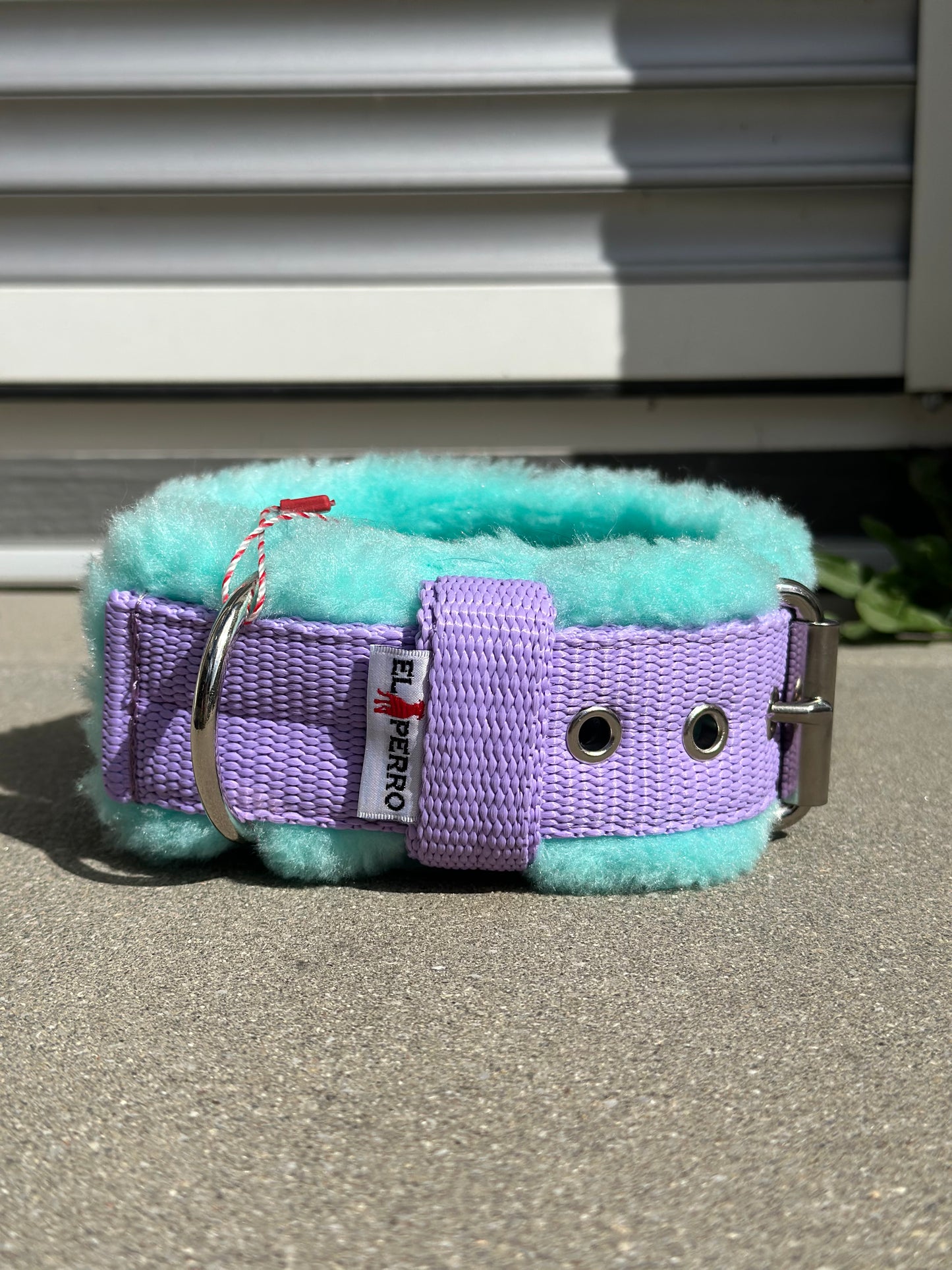 Collare Elperro Per Il Comfort 37-45cm | 4 cm di larghezza | Menta | Ricamato