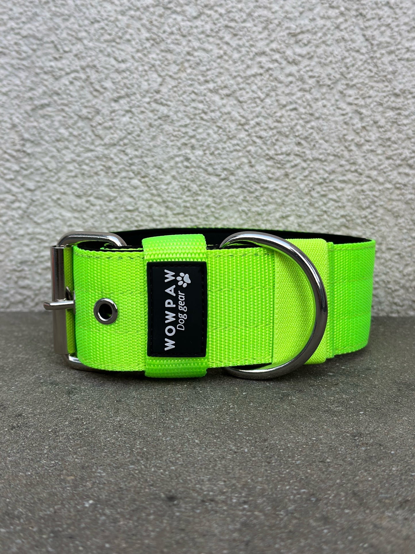 Collare per cani basic di alta qualità verde neon taglia M