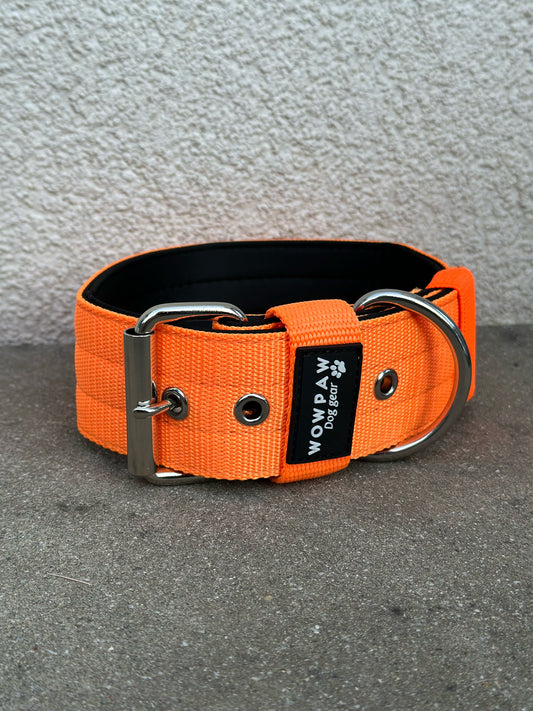 Collare per cani basic di alta qualità arancione neon taglia M