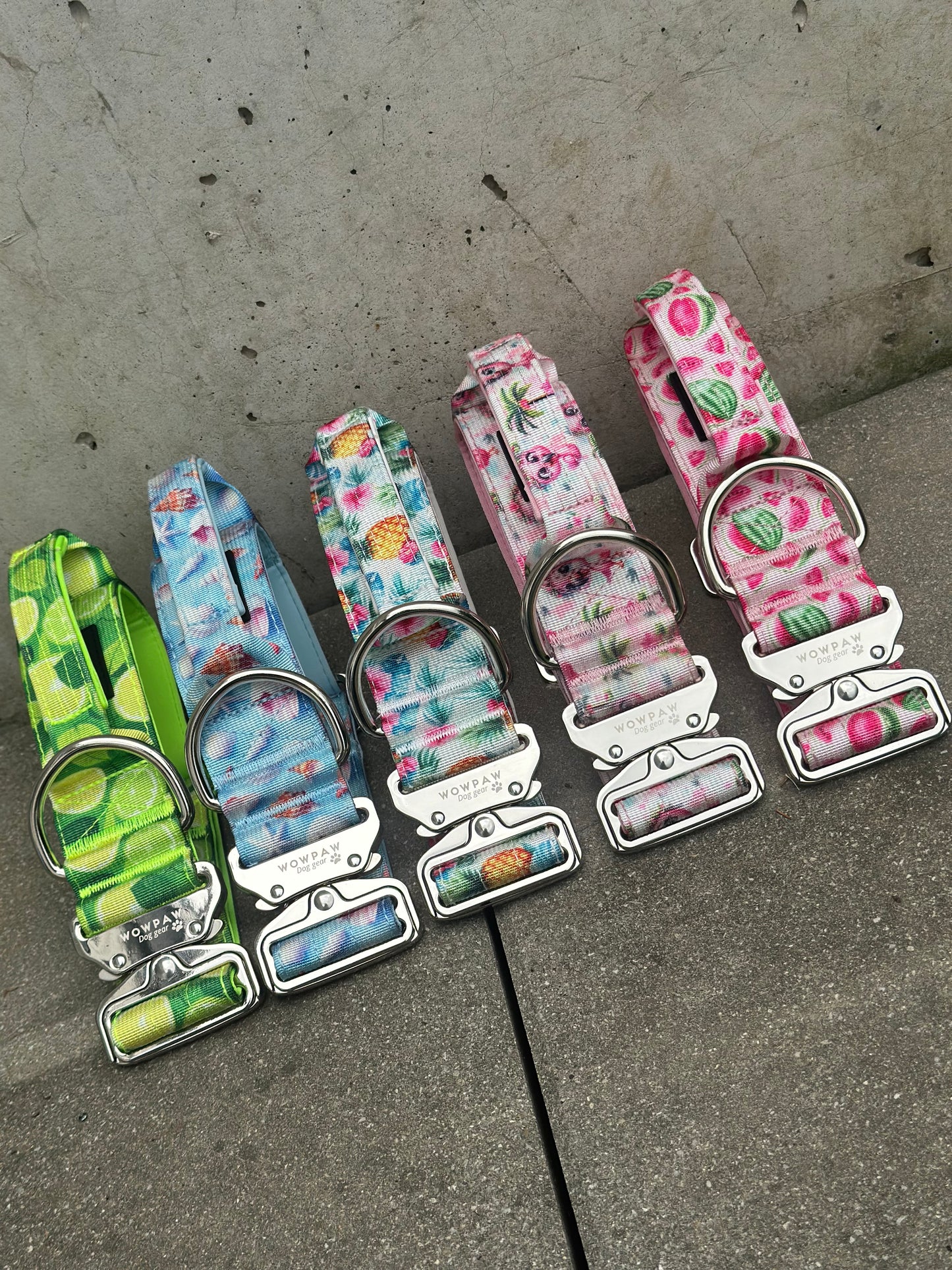 Hochwertiges taktisches Hundehalsband WASSERMELONEN LIMITIERT Größe S Breite 3,8cm