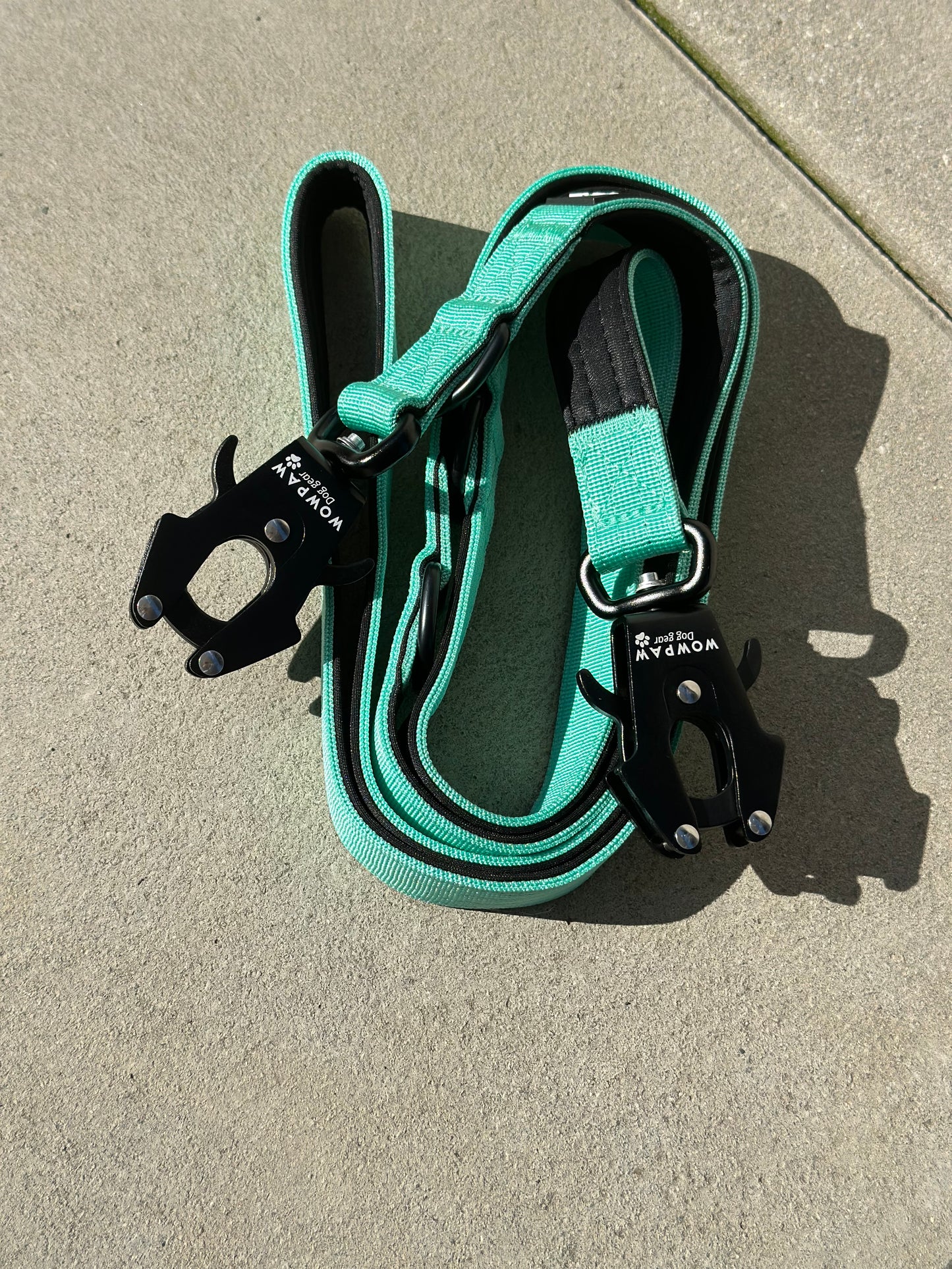 Taktische Hundeleine mit Froschkarabiner 360° drehbar, Länge 2m, verstellbar, Mint