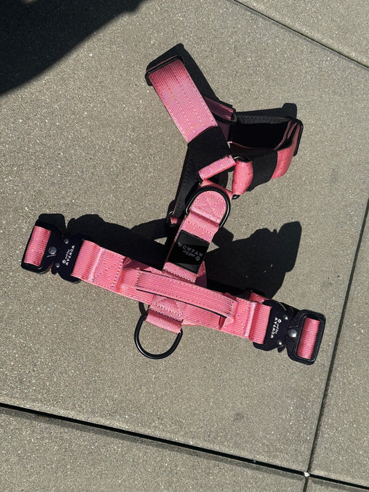 Pettorina per cani di alta qualità M rosa neon