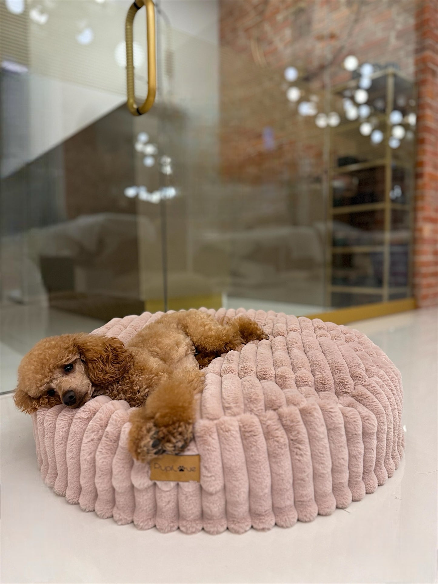 Relax-Kissen Rabbit Candy