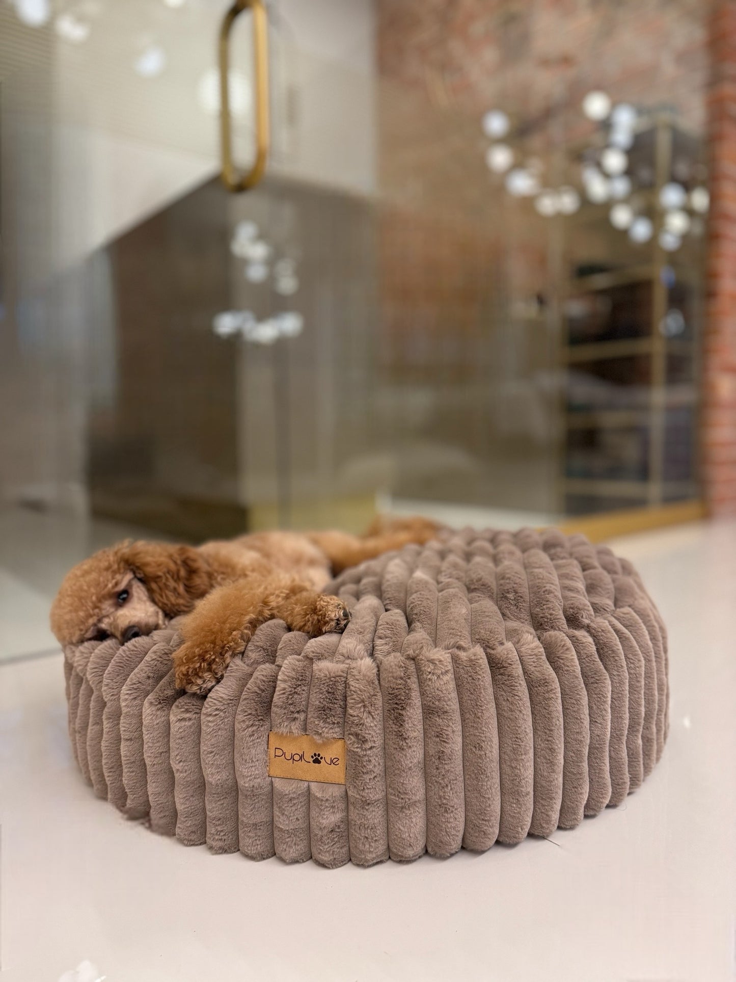 Relax-Kissen Rabbit Monte