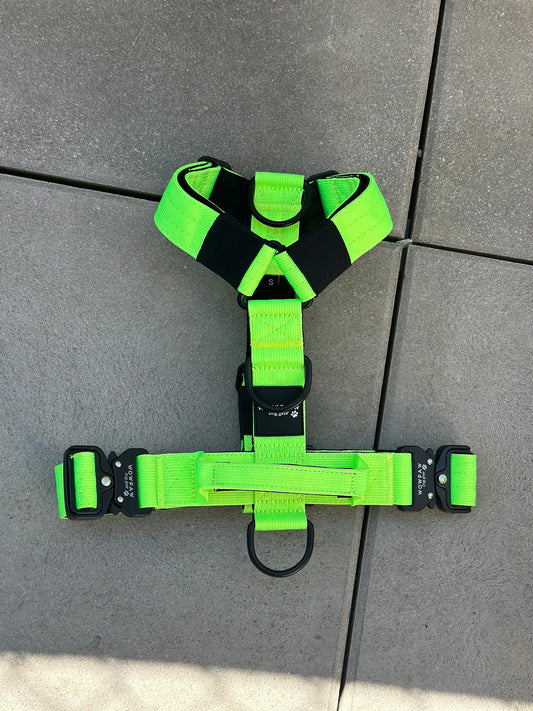 Pettorina per cani di alta qualità S verde neon