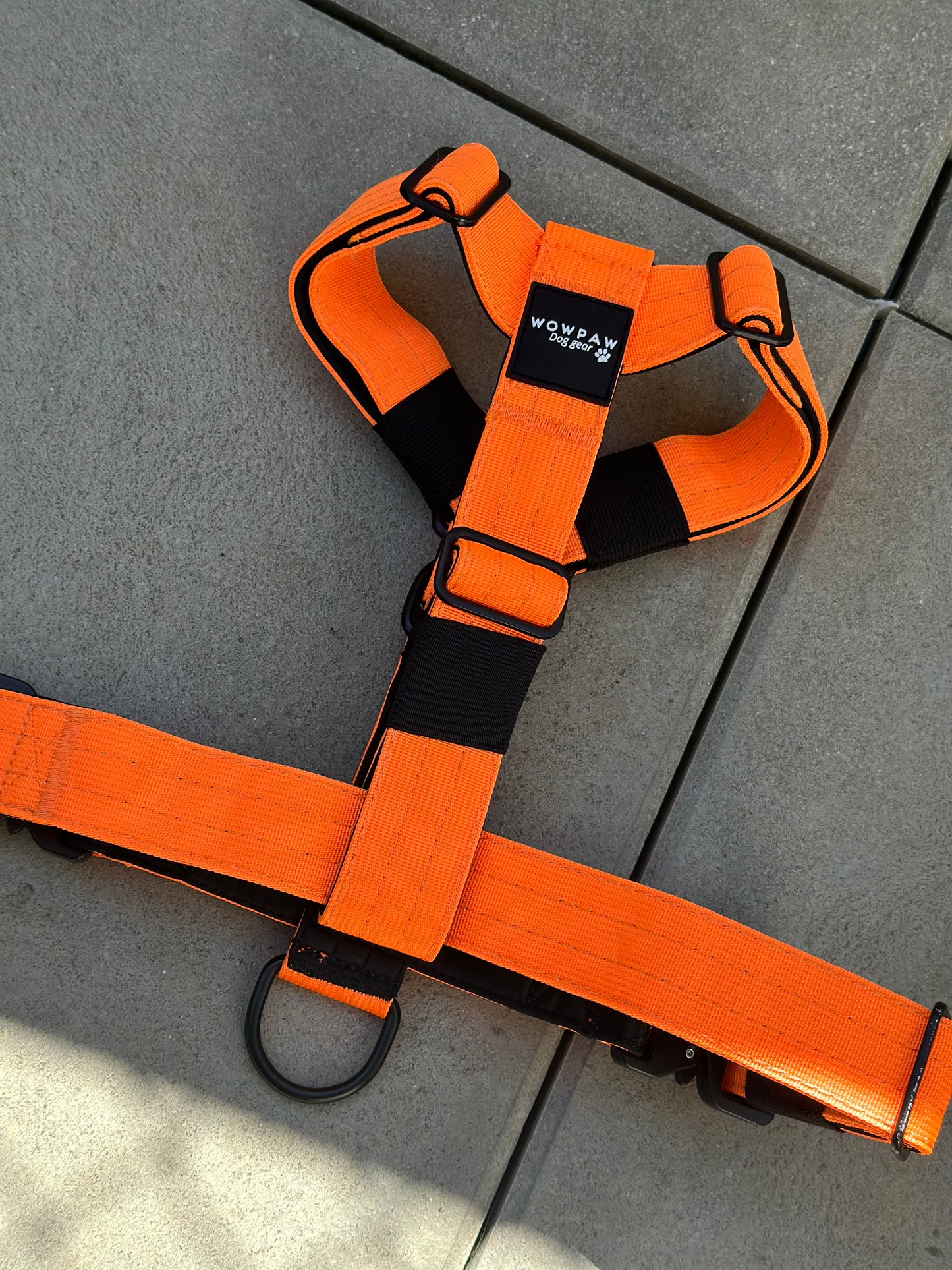 Hochwertiges Hundegeschirr M Neonorange