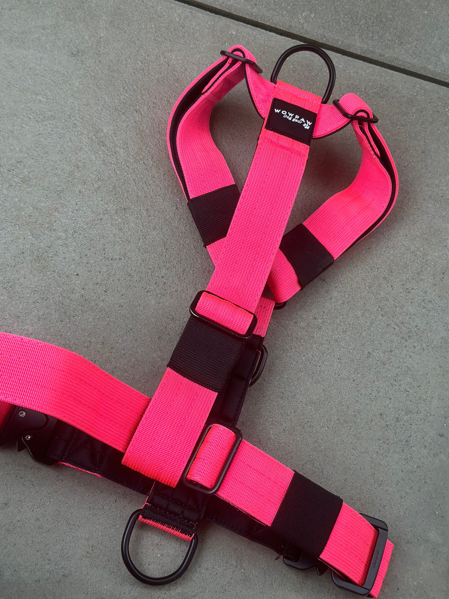 Pettorina per cani di alta qualità S rosa neon