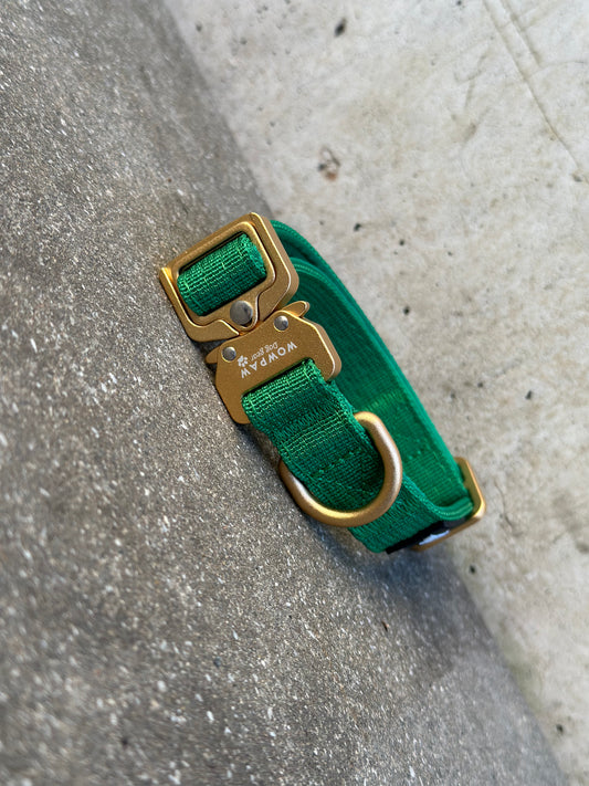 Collare per cani tattico di alta qualità 2,5 cm arancione neon taglia XS