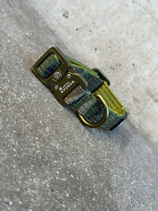 Collare per cani tattico di alta qualità 2,5 cm arancione neon taglia XS