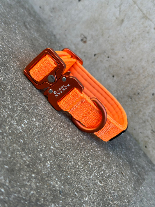 Collare per cani tattico di alta qualità 2,5 cm arancione neon taglia XS
