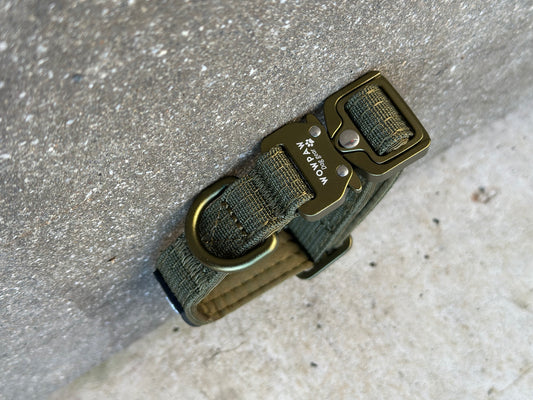 Collare per cani tattico di alta qualità 2,5 cm arancione neon taglia XS