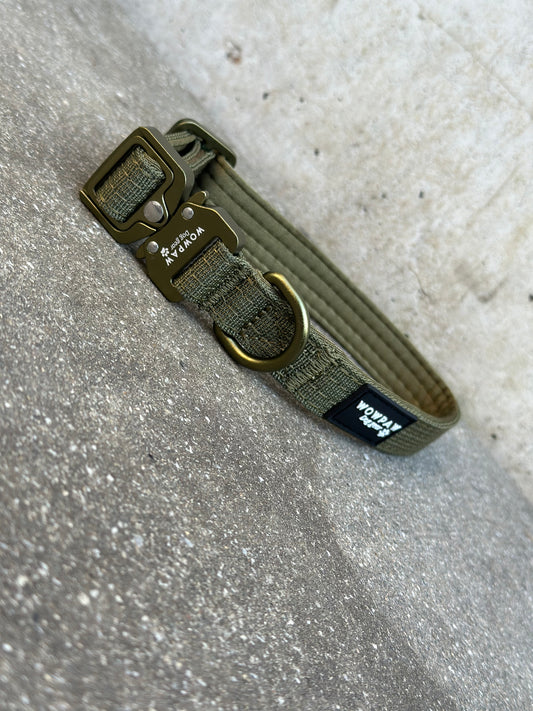 Collare per cani tattico di alta qualità 2,5 cm arancione neon taglia XS