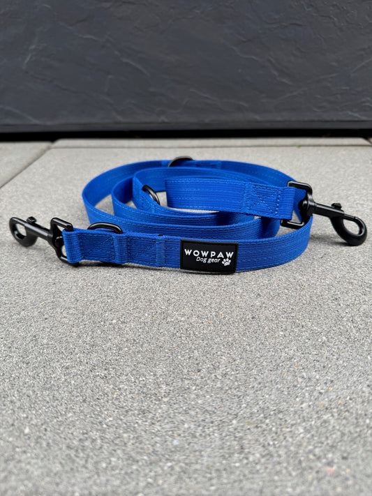 Standard Hundeleine M verstellbar Länge 2m Blau