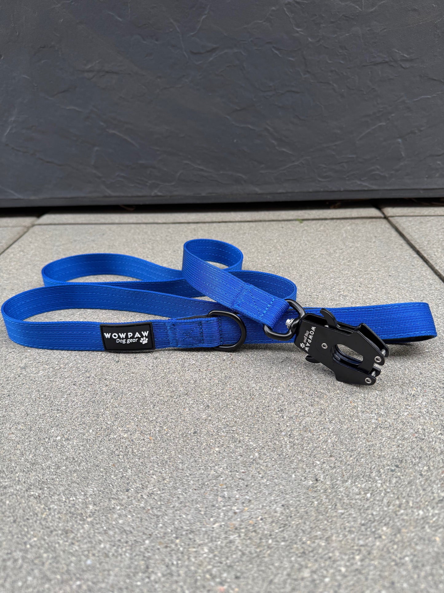 Taktische Hundeleine mit Froschkarabiner Länge 1,5m Blau