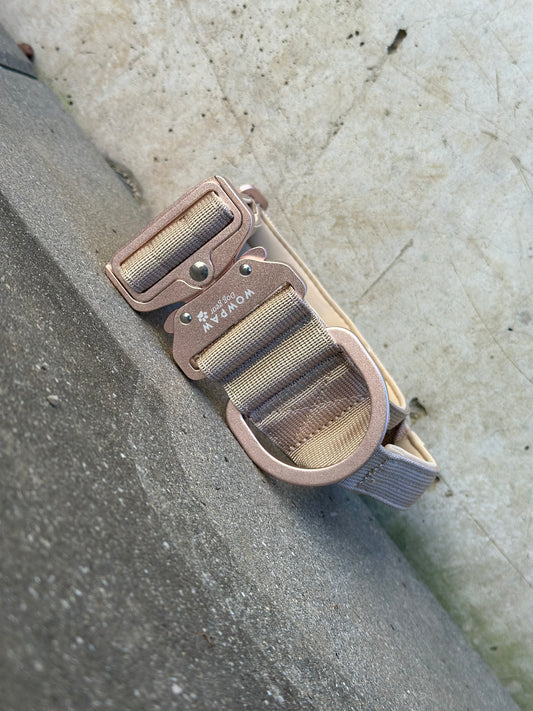 Hochwertiges taktisches Hundehalsband 5cm ULTRA LIGHT BEIGE Edition Größe  L