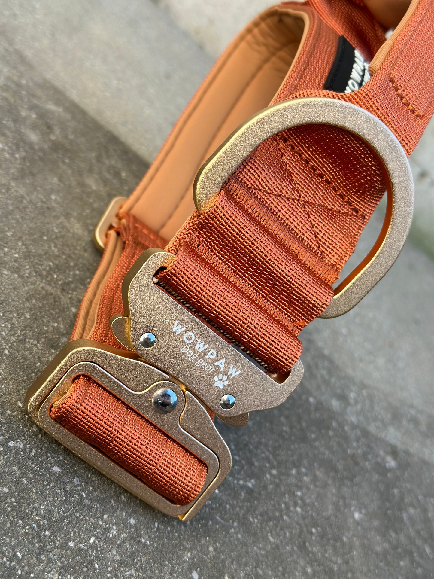 Wysokiej jakości taktyczna obroża dla psa 5cm ULTRA LIGHT COPPER Rozmiar S