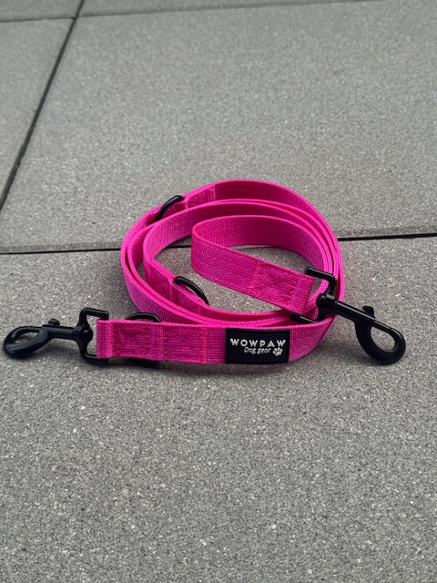 Standard Hundeleine S verstellbar Länge 2m Magenta