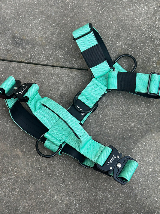 Pettorina per cani di alta qualità M verde neon