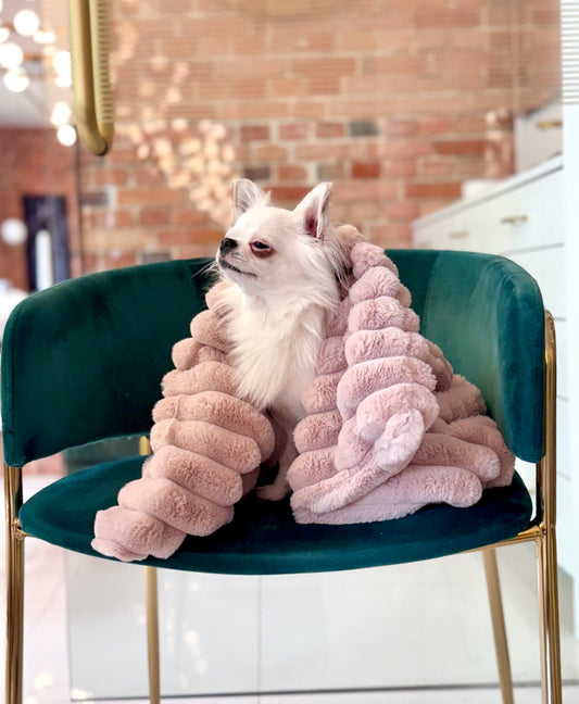 Hundedecke Rabbit Candy