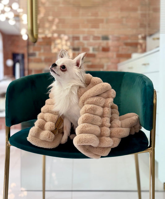 Hundedecke Rabbit Cookie