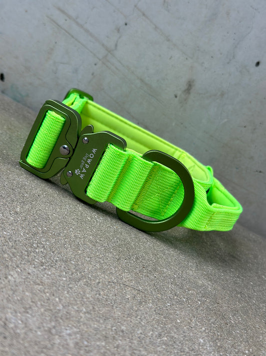 Hochwertiges taktisches Hundehalsband 3,8cm ULTRA LIGHT Neongrün Edition Größe M
