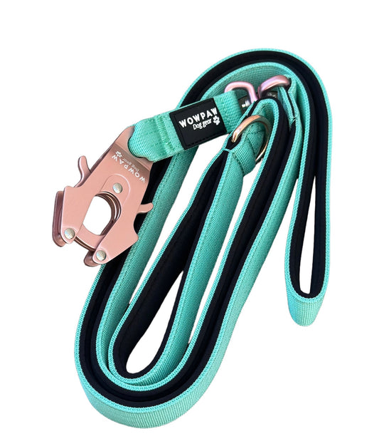 Guinzaglio tattico per cani con moschettone a rana, girevole a 360°, lunghezza 1,8 menta / oro rosa